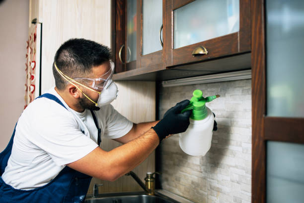 Best Pest Control Near Me  in Mccordsville, IN