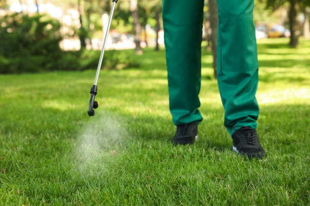 Best Ant Control Services  in Mccordsville, IN