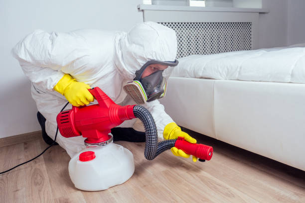 Best Affordable Pest Control Services  in Mccordsville, IN