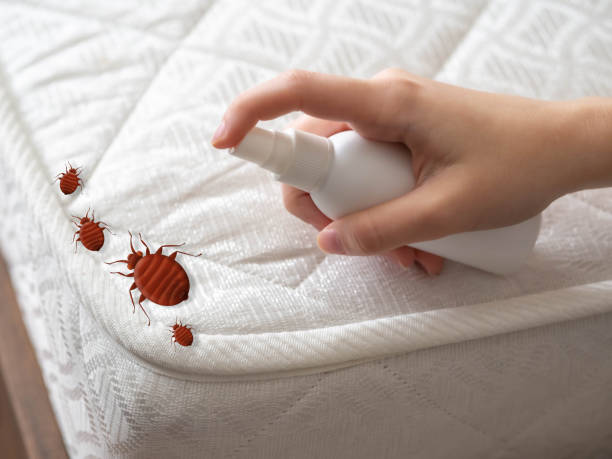 Best Flea Control Services  in Mccordsville, IN