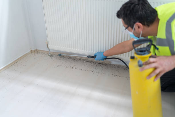 Best Emergency Pest Control  in Mccordsville, IN