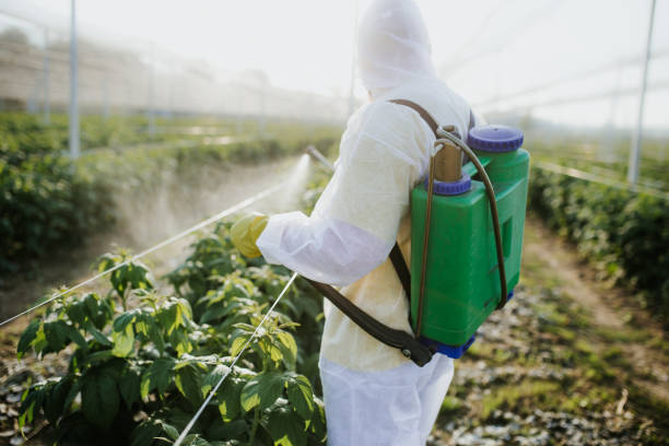 Best Pest Control Near Me in Mccordsville, IN